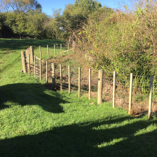 Batten Fence