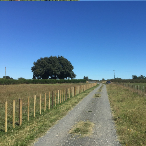 Batten Fence