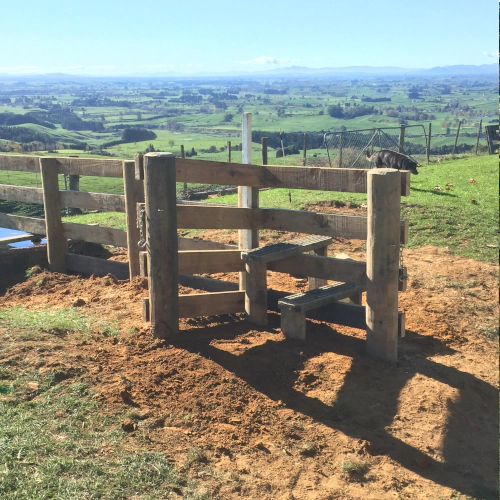 Post and Rail Fence 3