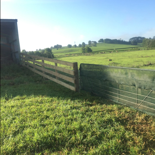 Post and Rail Fence 4